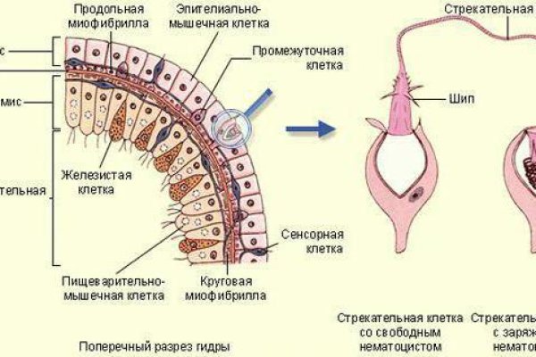 Кракен площадка kr2web in