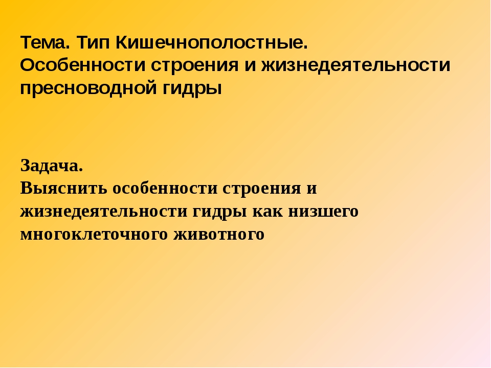 Кракен 05